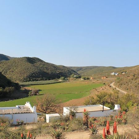 Matjiesvlei Guestfarm Villa Calitzdorp Dış mekan fotoğraf