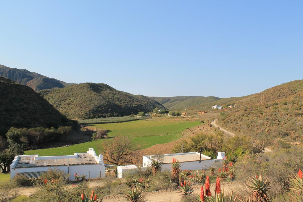 Matjiesvlei Guestfarm Villa Calitzdorp Dış mekan fotoğraf