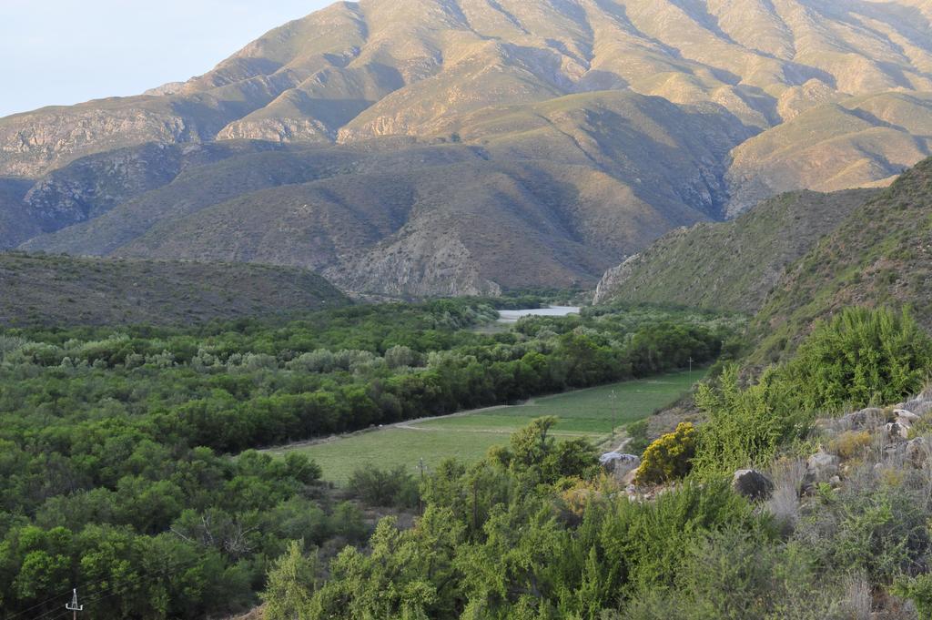 Matjiesvlei Guestfarm Villa Calitzdorp Dış mekan fotoğraf